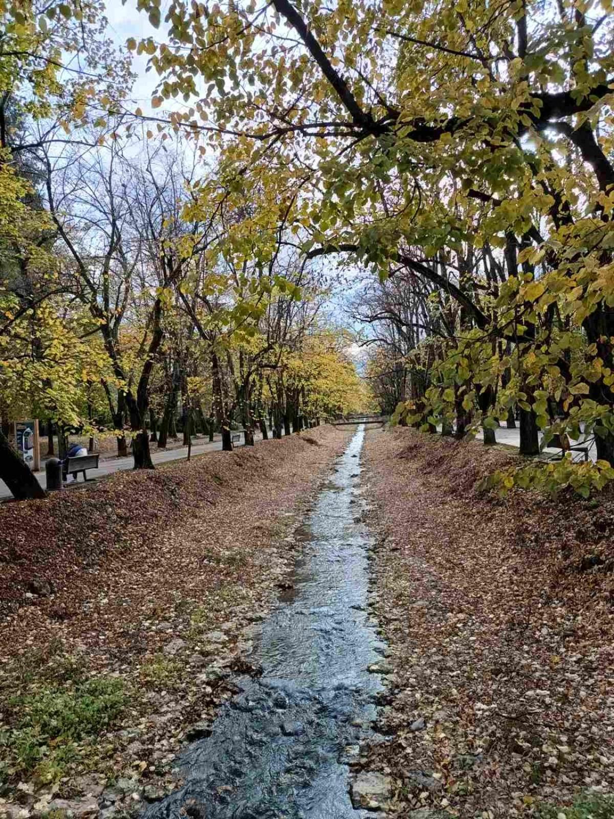 Nektar 88 Lägenhet Vrnjačka Banja Exteriör bild